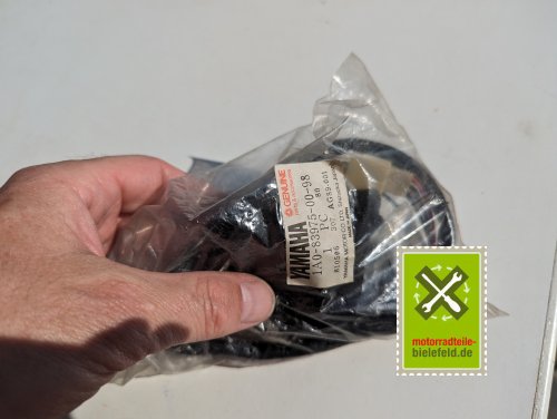 PXL_20240523_151309331